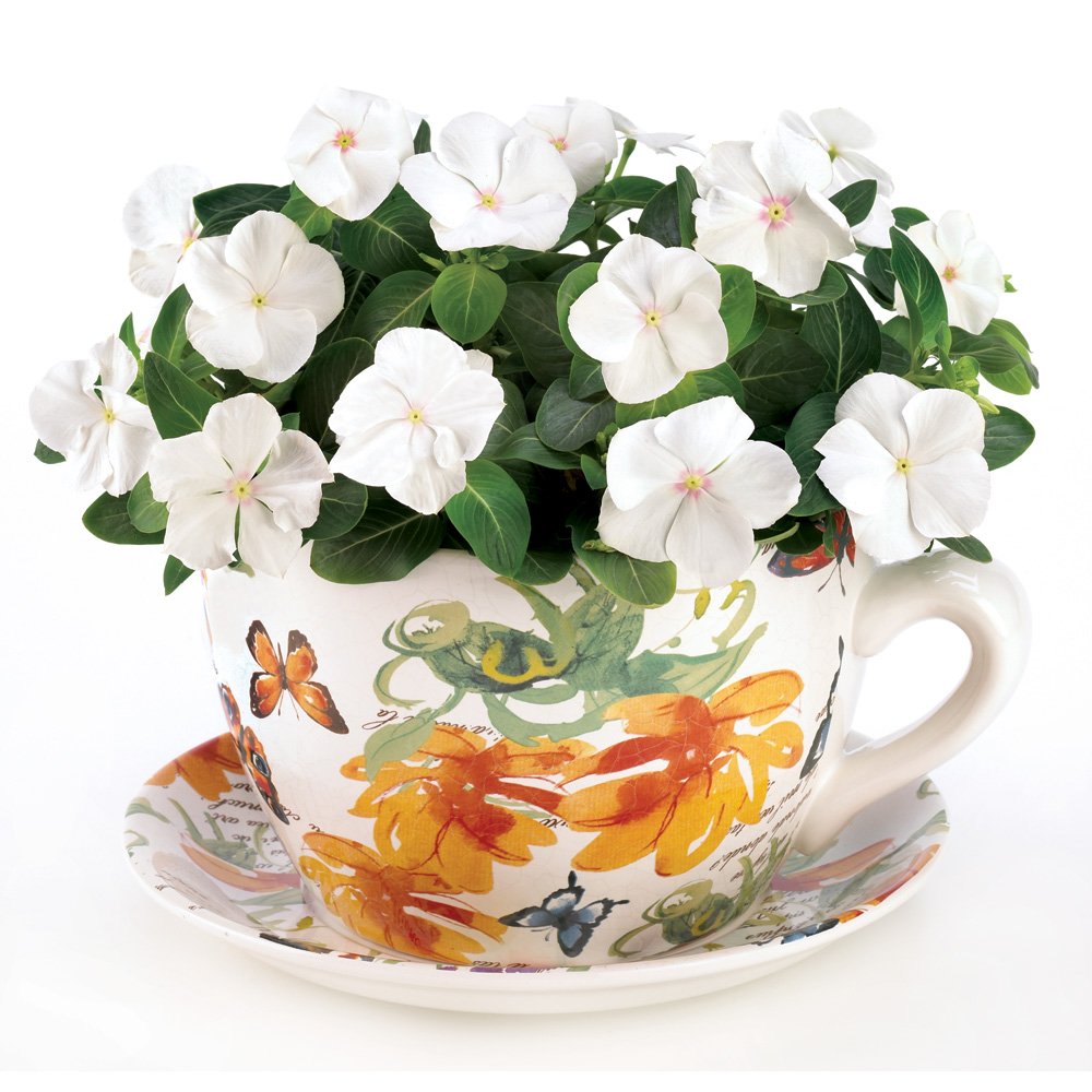 Butterfly teacup planter