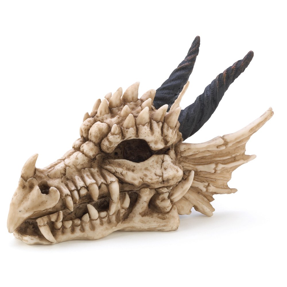 Dragon skull treasure box