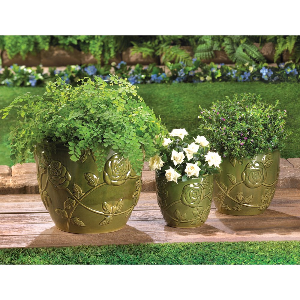 Tea rose garden planter trio